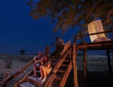 Tubu Tree - camp for the night Tubu Tree - camp for the night
